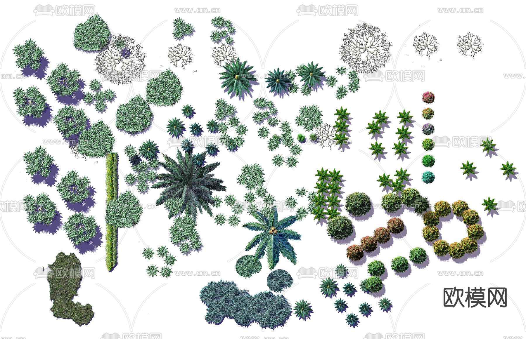 现代平面植物景观psd下载