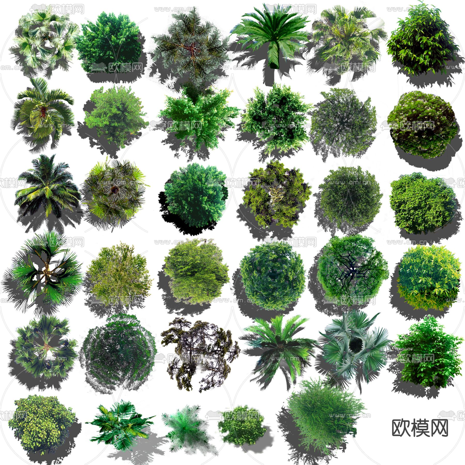 现代经典平面植物树木景观psd下载
