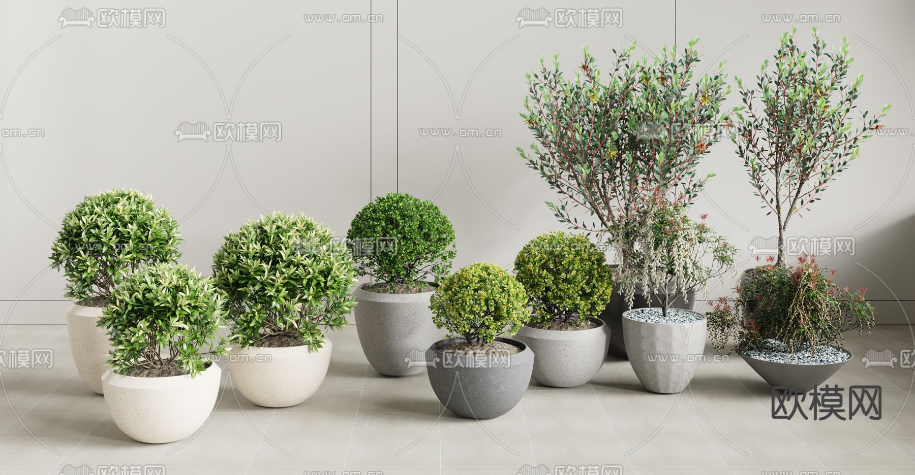 现代南天竹绿植盆栽3d模型下载_ID12074188_3dmax免费模型-欧模网