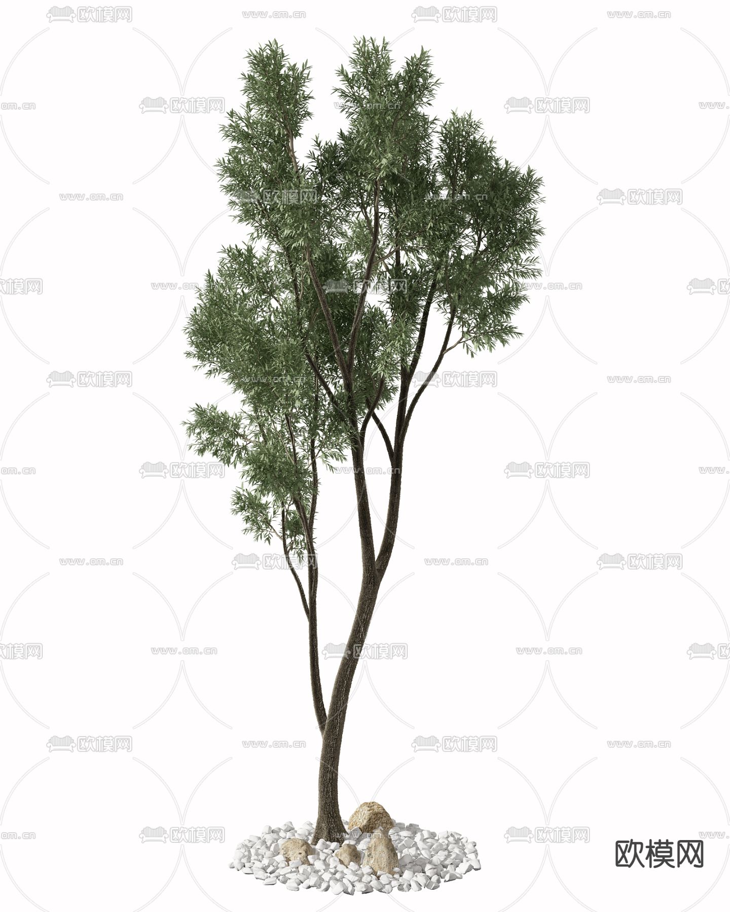 现代乔木景观树3d模型下载