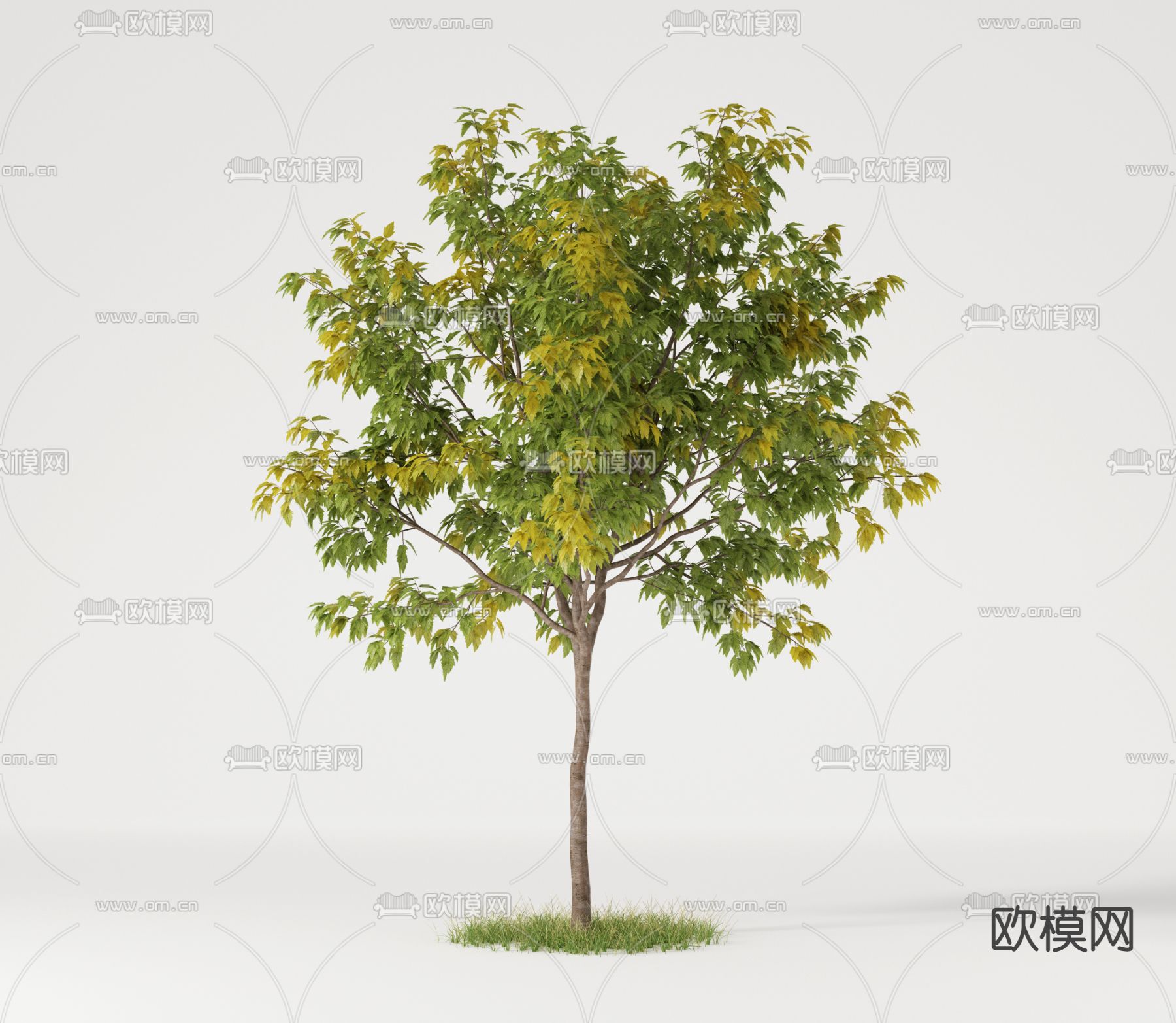 现代景观树3d模型下载