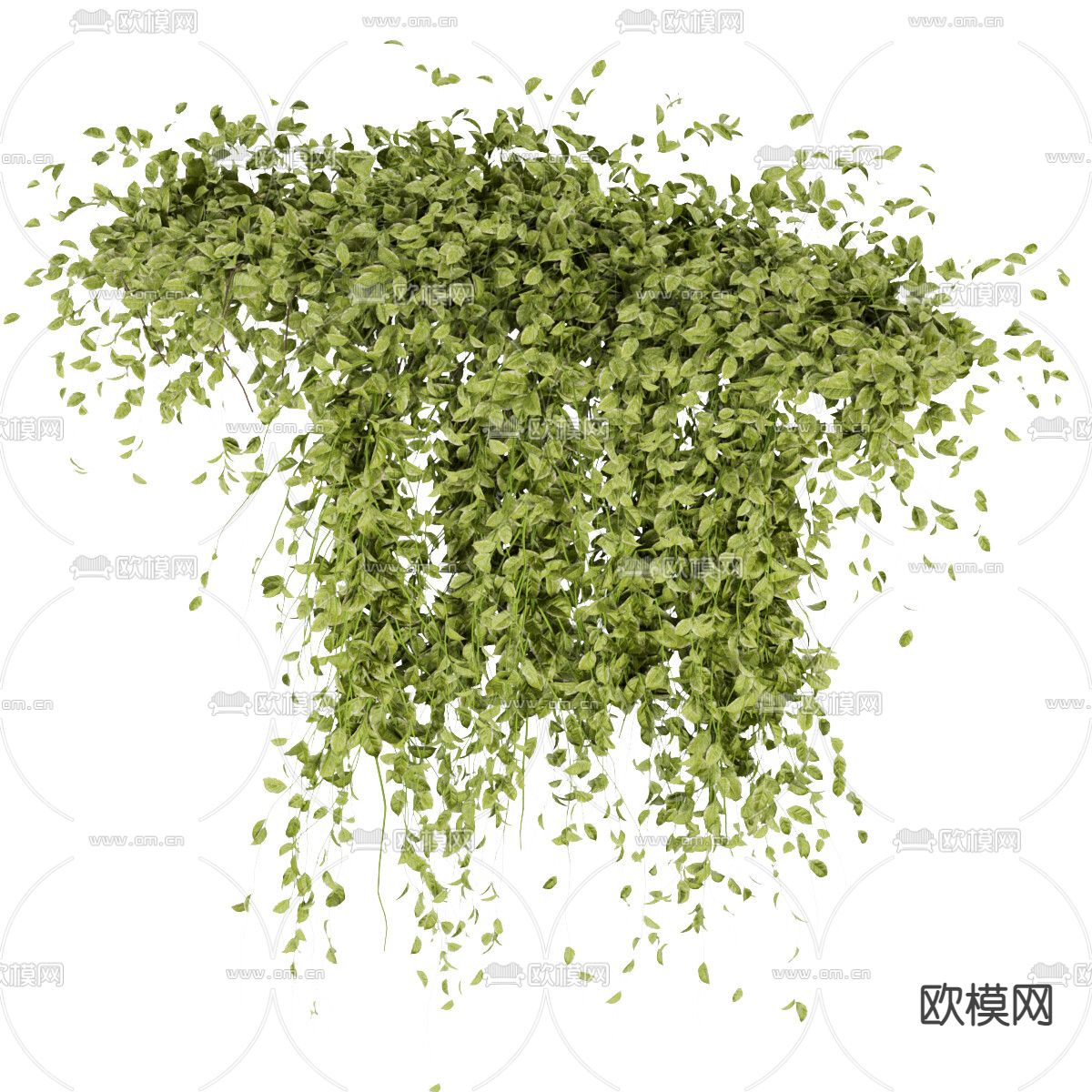 绿植藤蔓3d模型下载（渲染图4）