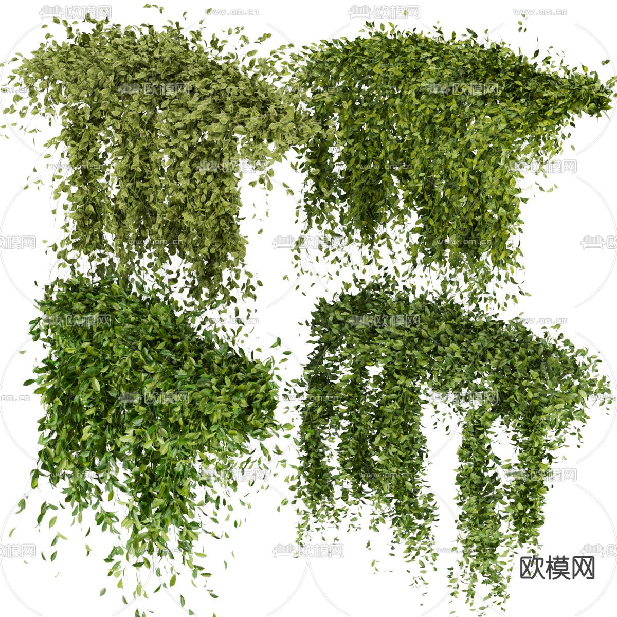 绿植藤蔓3d模型下载（渲染图1）