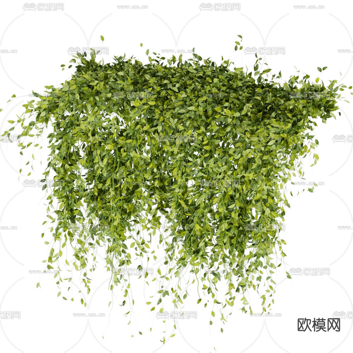 绿植藤蔓3d模型下载（渲染图2）