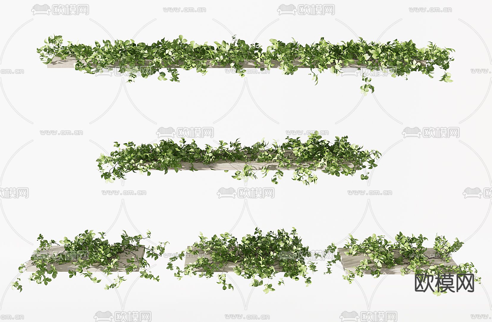 现代绿植藤蔓3d模型下载