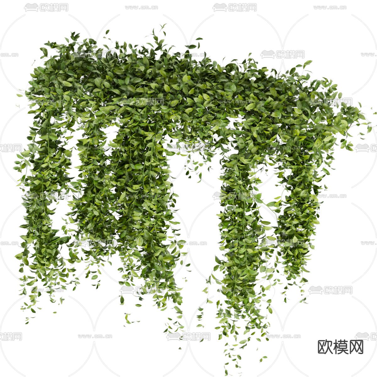 绿植藤蔓3d模型下载（渲染图3）