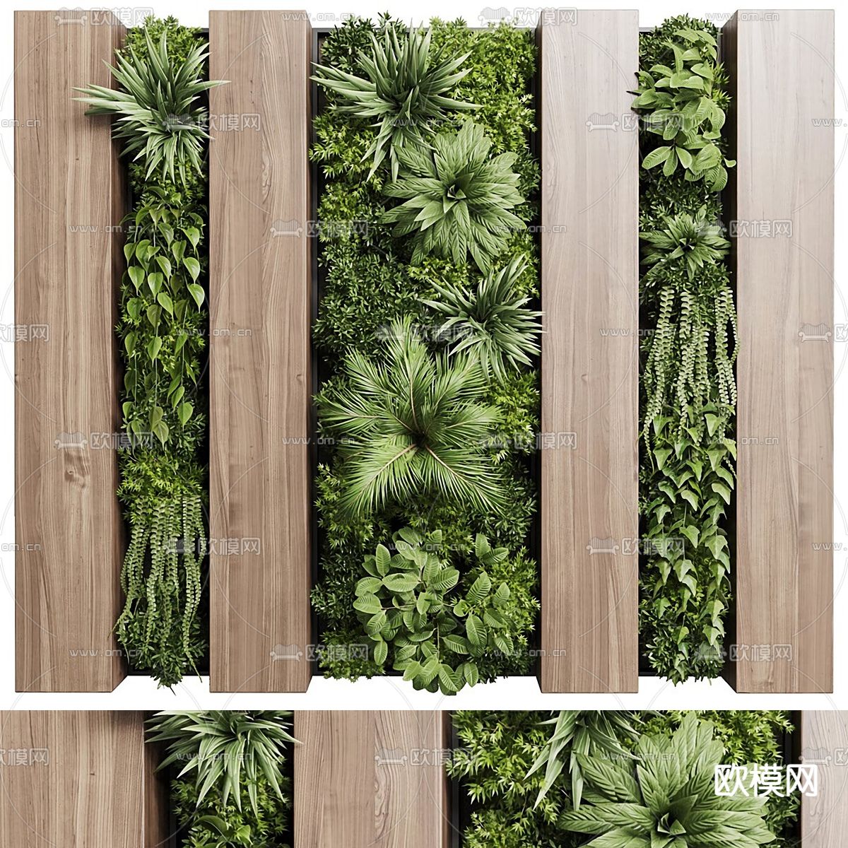 现代蒲葵植物墙3d模型下载（渲染图1）