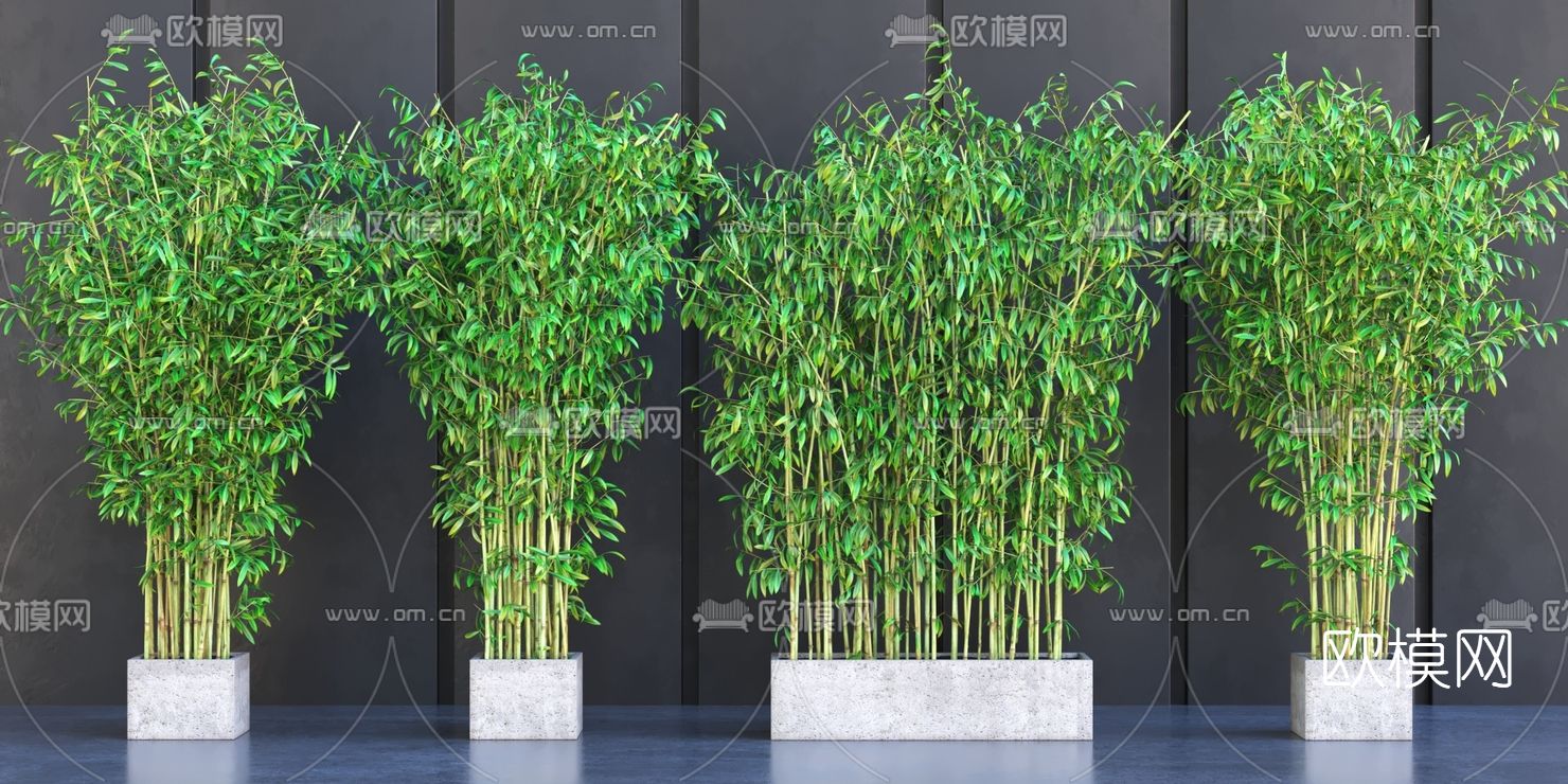 现代绿植竹子3d模型下载（渲染图3）