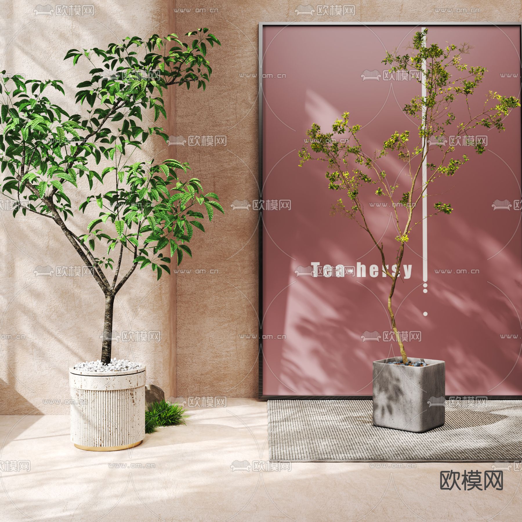 现代马醉木植物盆栽3d模型下载_ID12078575_3dmax免费模型-欧模网
