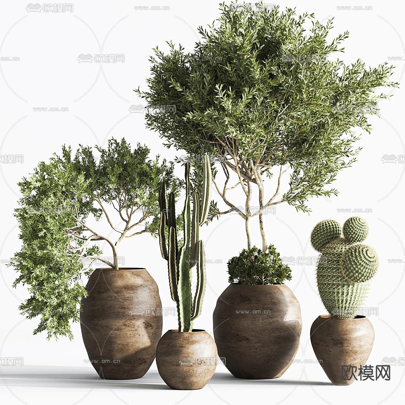 侘寂陶罐仙人掌植物盆栽3d模型下载