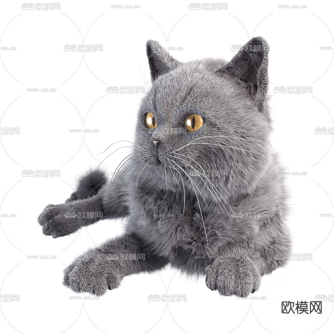 长毛灰猫英短蓝猫3d模型下载（渲染图1）