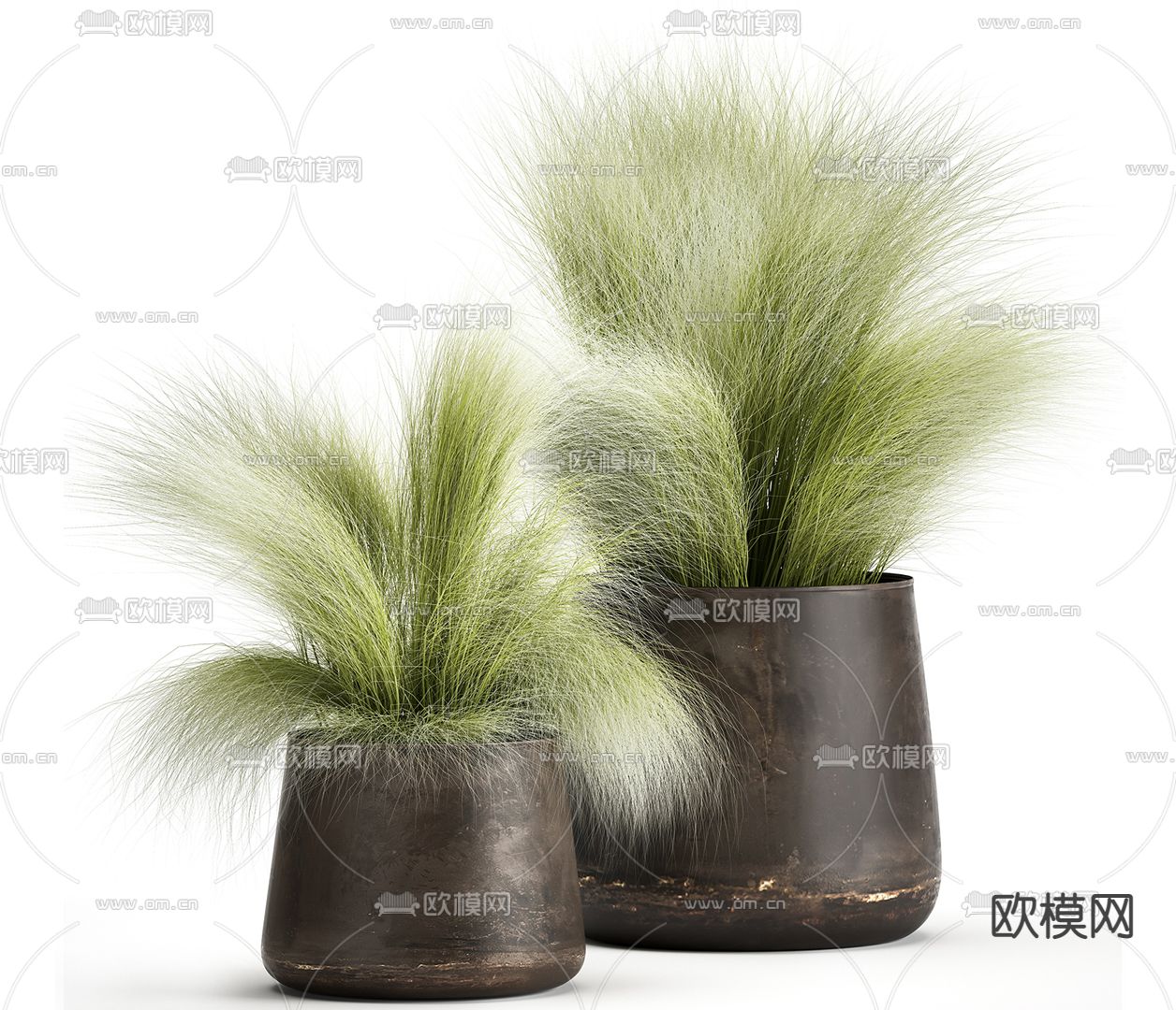 针茅植物盆栽3d模型下载_ID12081089_3dmax免费模型-欧模网