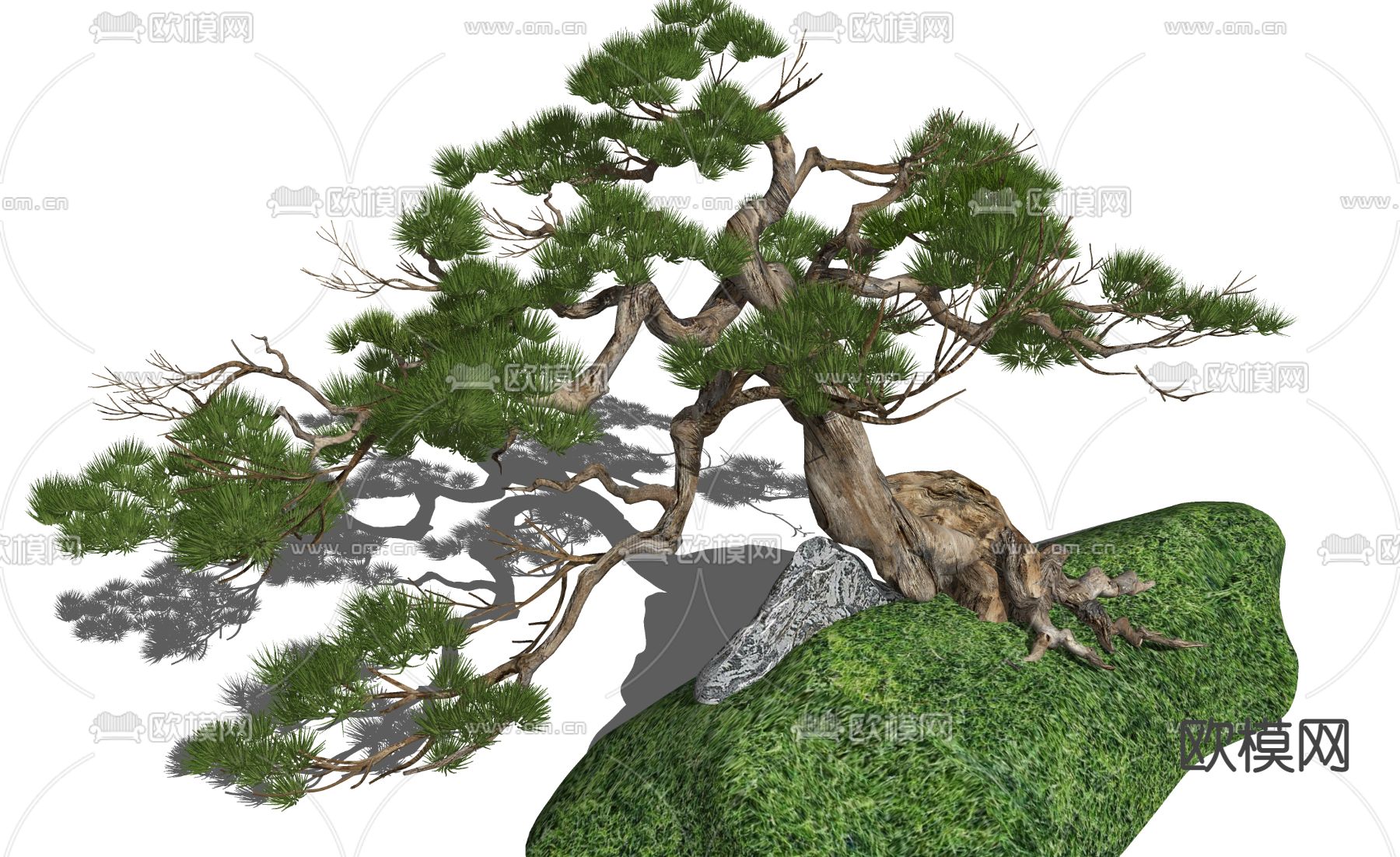 新中式松树su模型下载（渲染图3）
