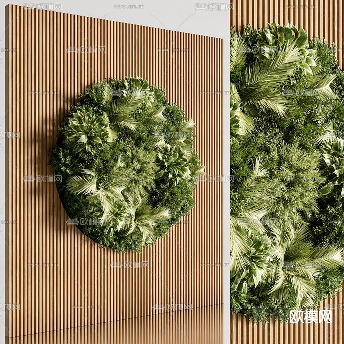 现代圆形植物墙3d模型下载