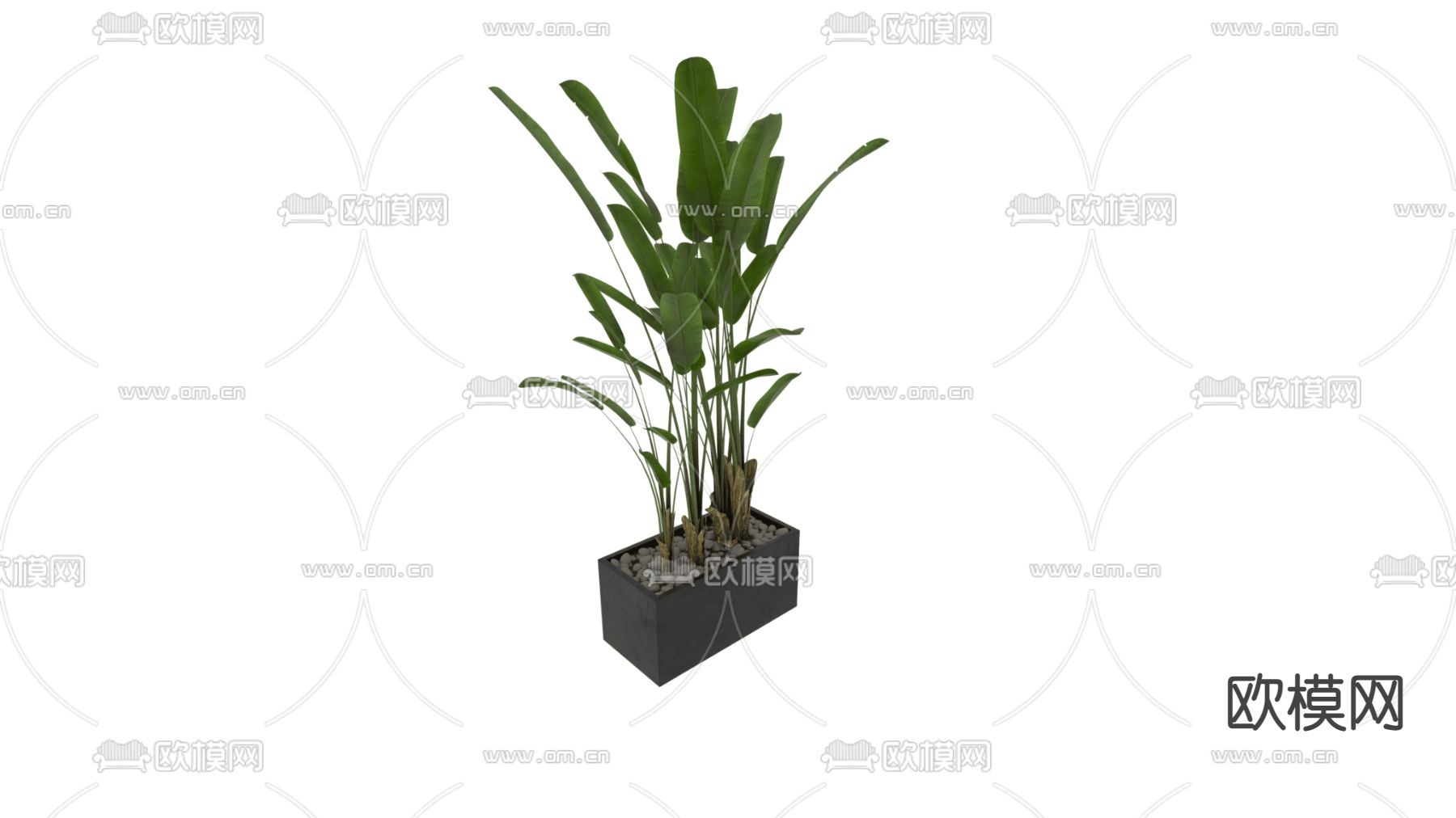 现代简约香蕉树盆栽免费3d模型下载