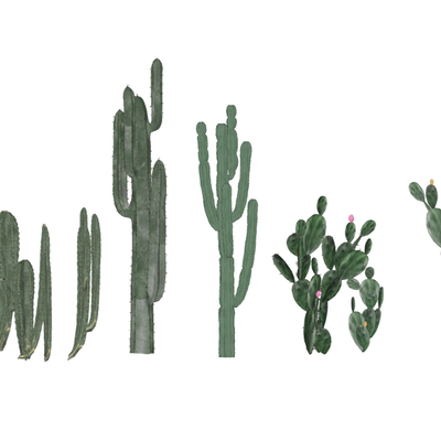  现代仙人掌绿植su模型 