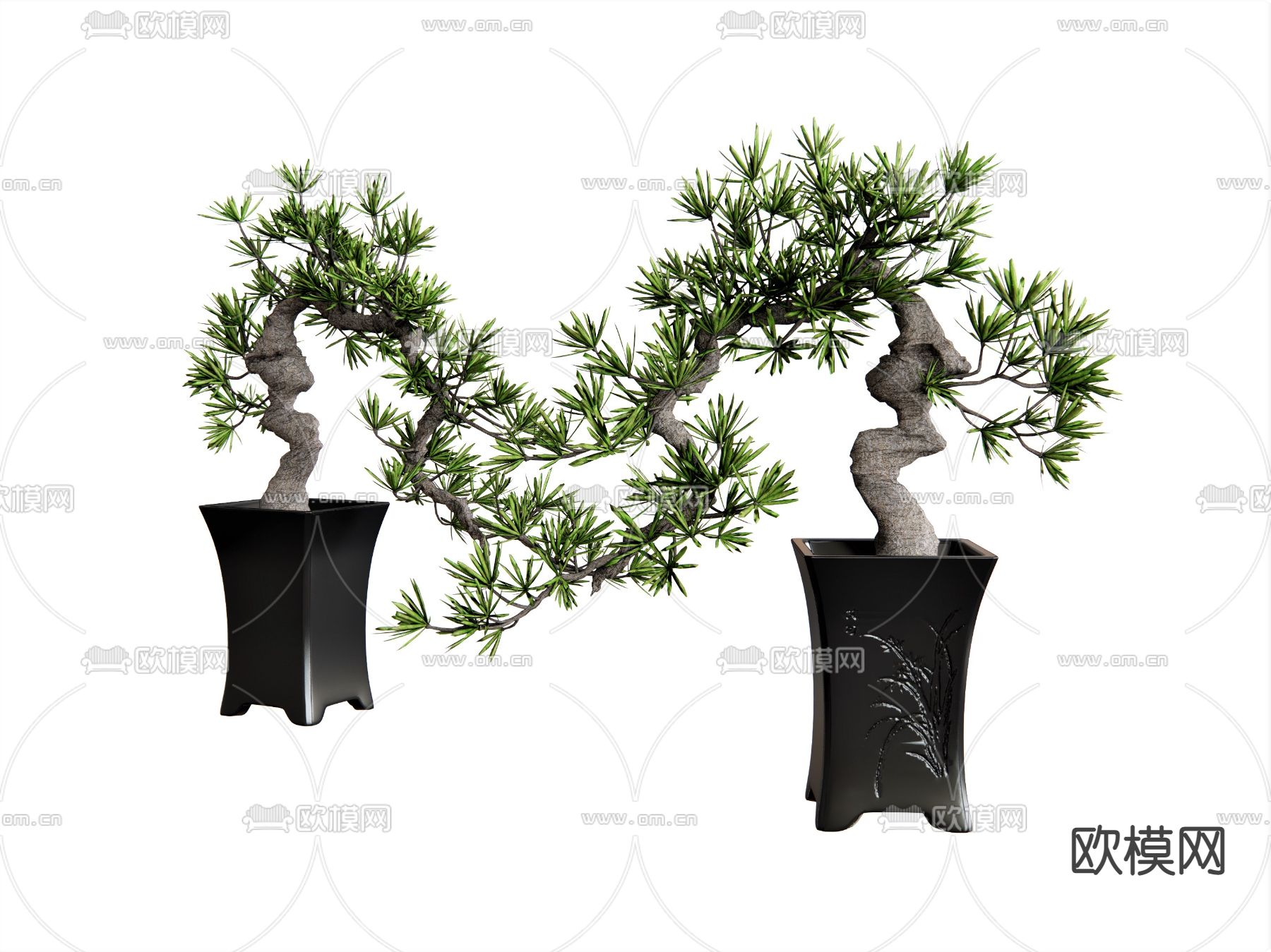 新中式花盆罗汉松su模型下载（渲染图1）