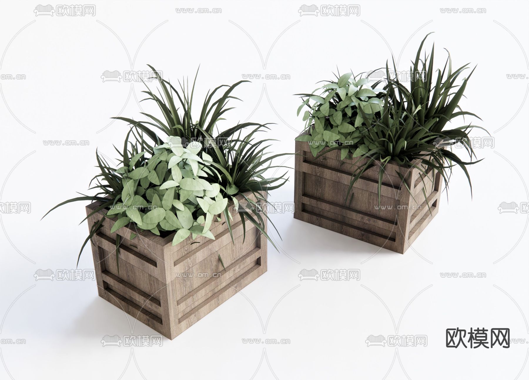 北欧灌木绿植花箱模型下载（渲染图1）