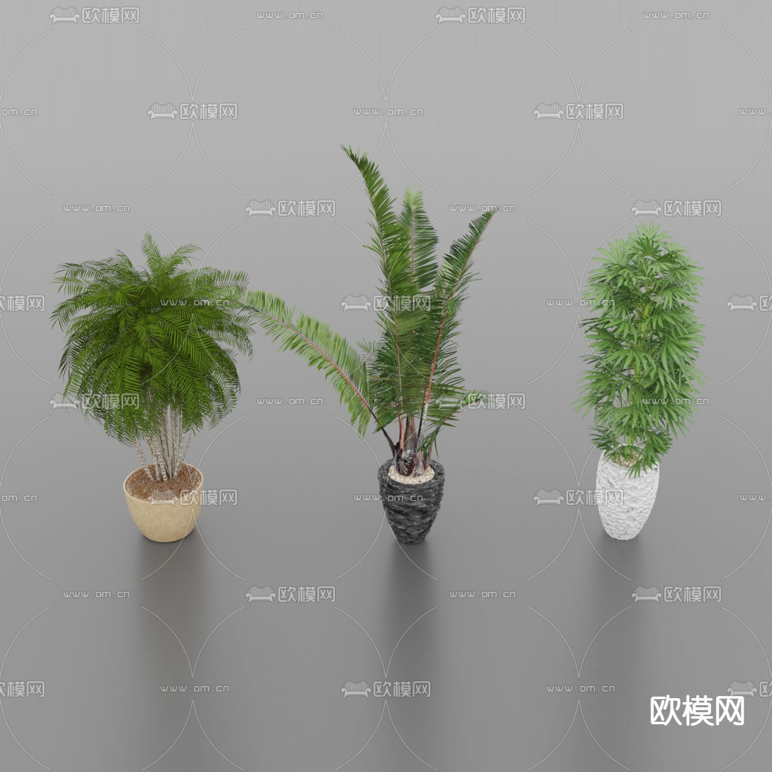 现代简约绿植盆栽免费3d模型下载