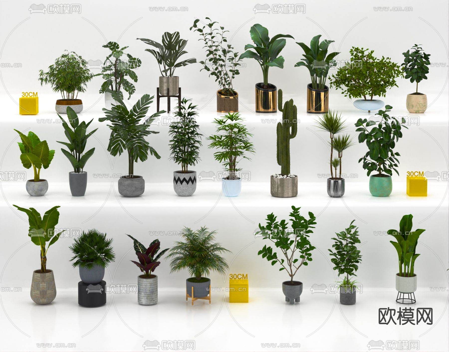 现代绿植盆栽3d模型下载