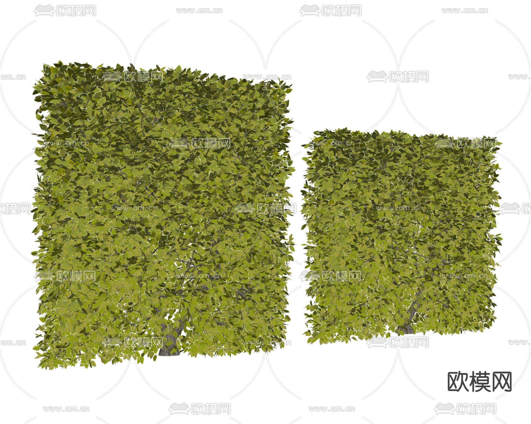 现代植物隔断植物墙su模型下载（渲染图2）