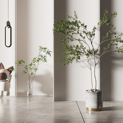  现代水培植物盆栽su模型 