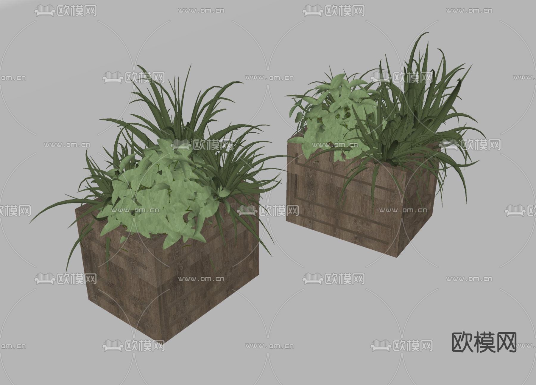 北欧灌木绿植花箱模型下载（渲染图2）