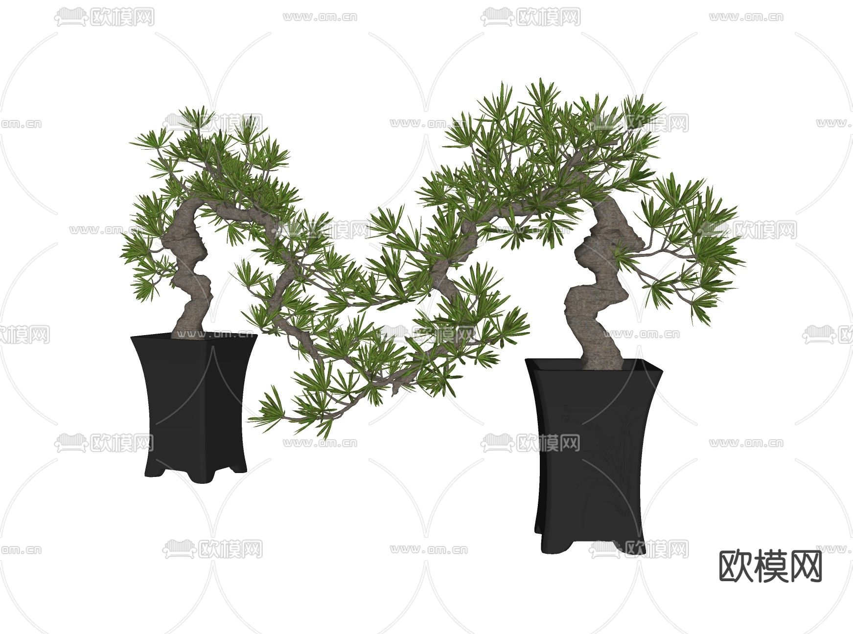 新中式花盆罗汉松su模型下载（渲染图2）