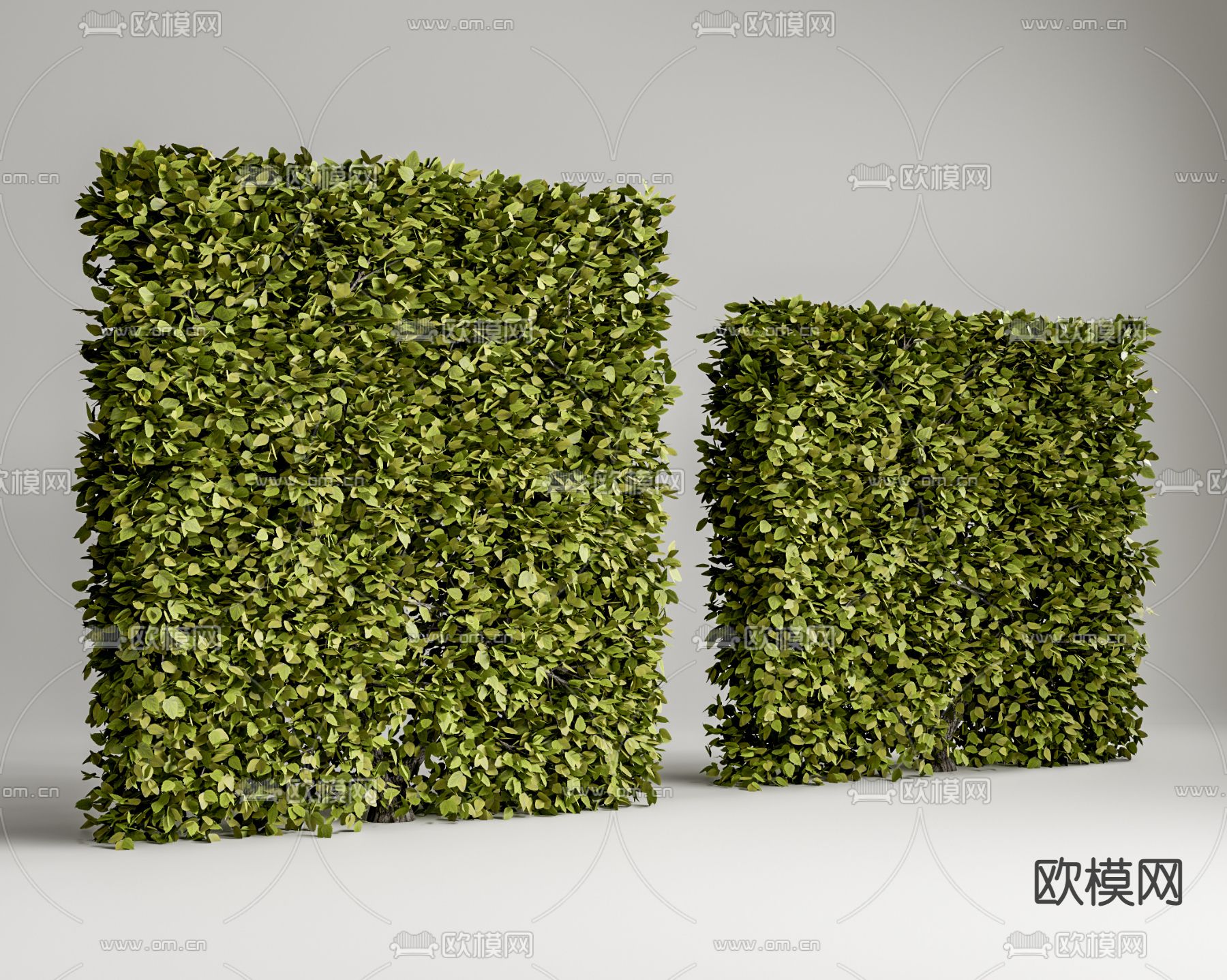 现代植物隔断植物墙su模型下载（渲染图1）