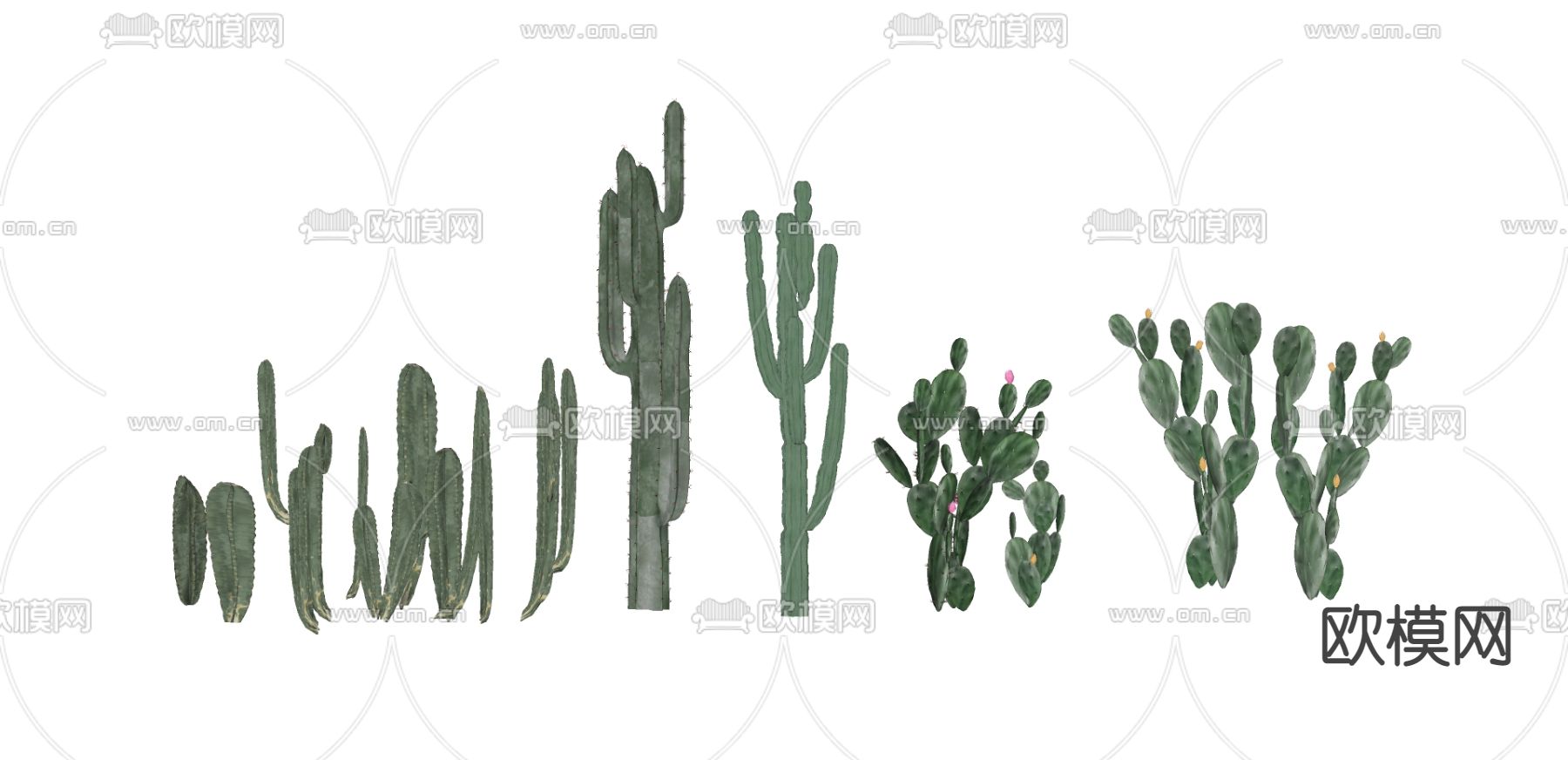 现代仙人掌绿植su模型下载