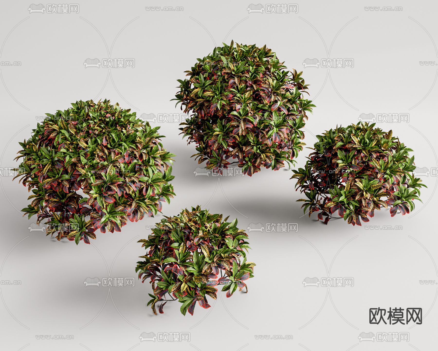 现代植物灌木su模型下载（渲染图1）