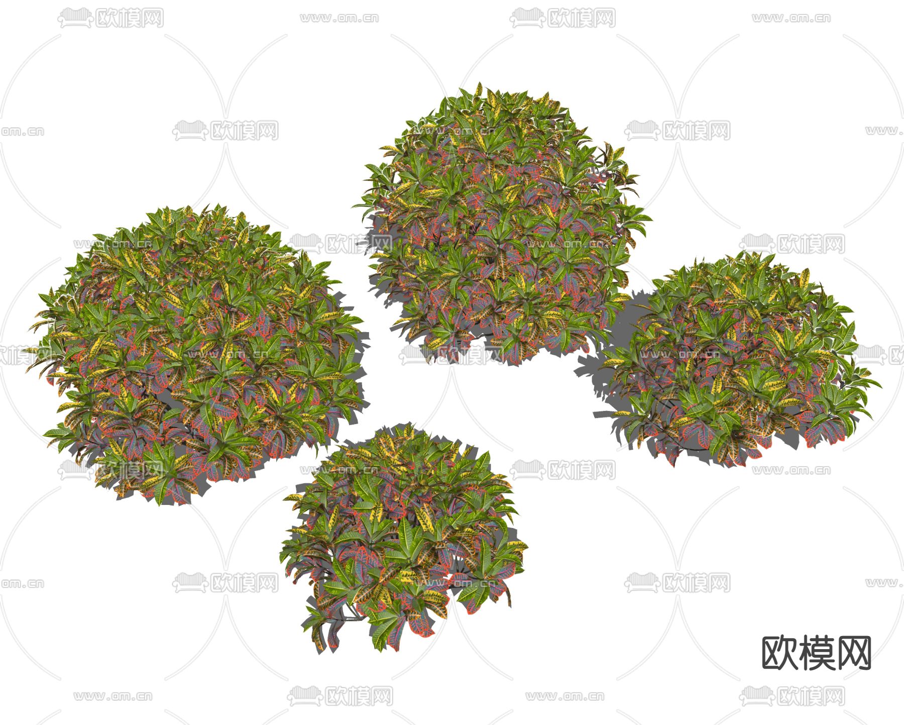 现代植物灌木su模型下载（渲染图2）
