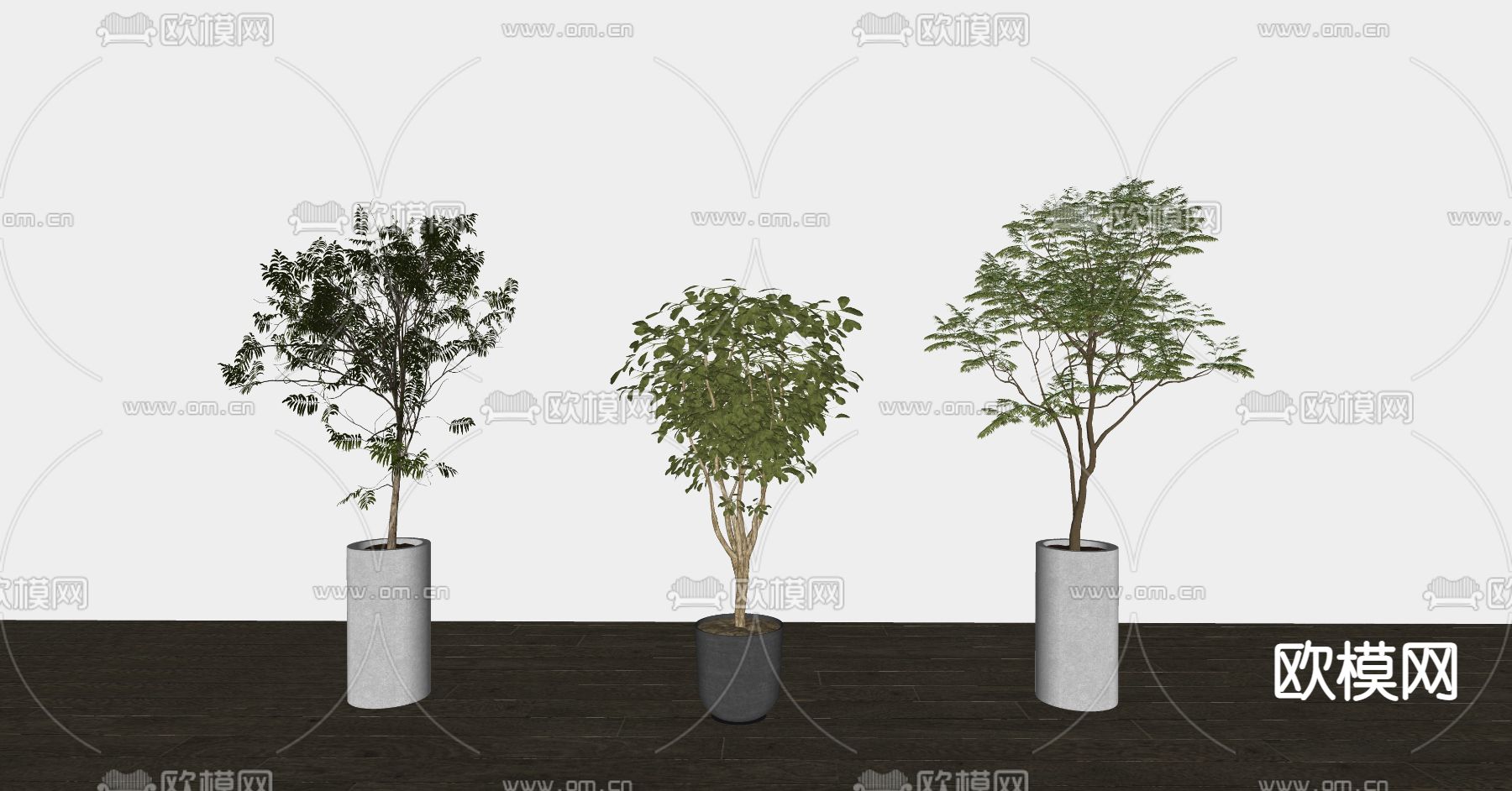 现代绿植盆栽su模型下载（渲染图2）