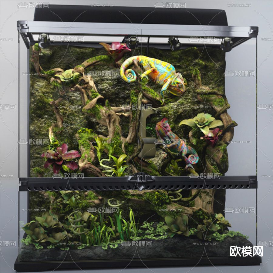 现代水陆缸水族箱蜥蜴3d模型