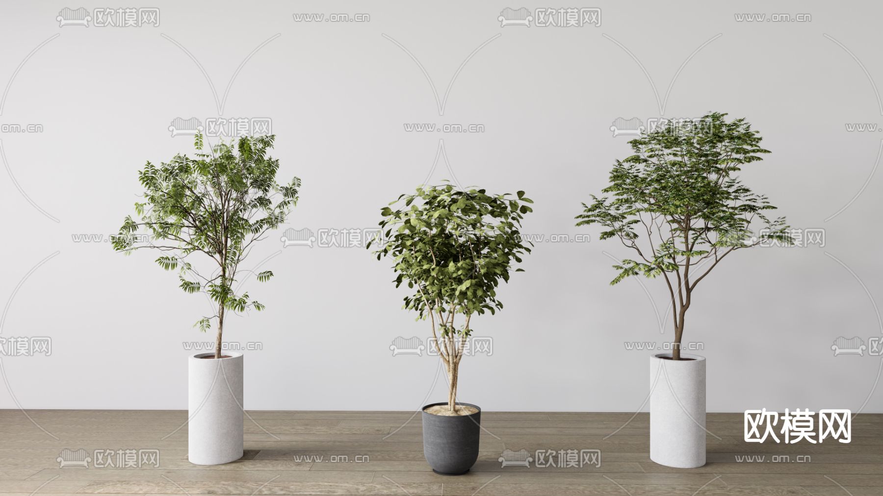 现代绿植盆栽su模型下载（渲染图1）