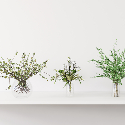  现代水培绿植花瓶su模型 