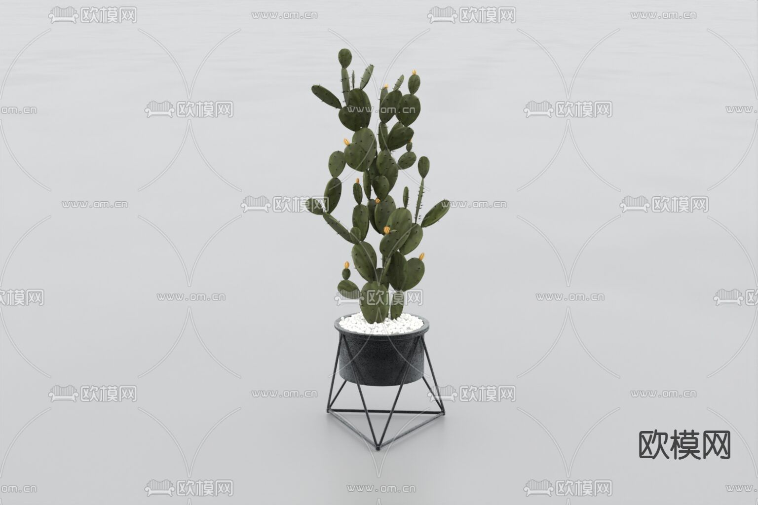 北欧简约仙人掌盆栽免费3d模型下载