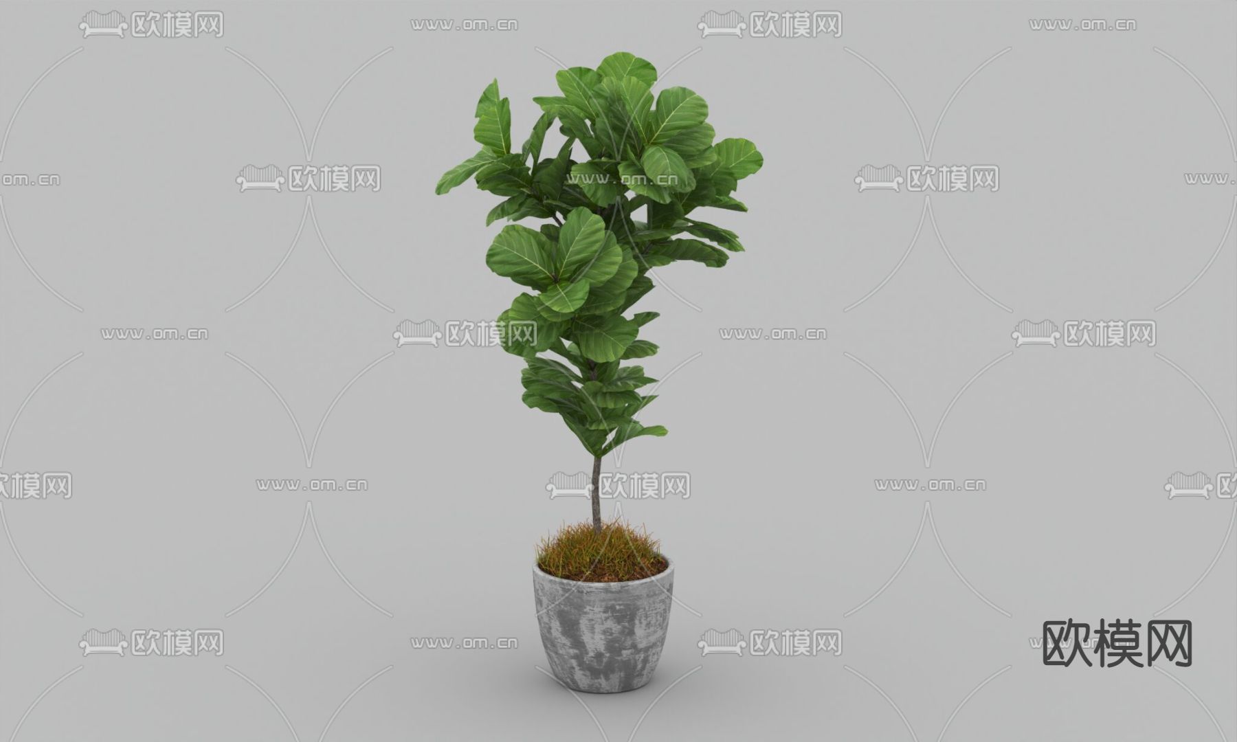 北欧简约绿植盆栽免费3d模型下载