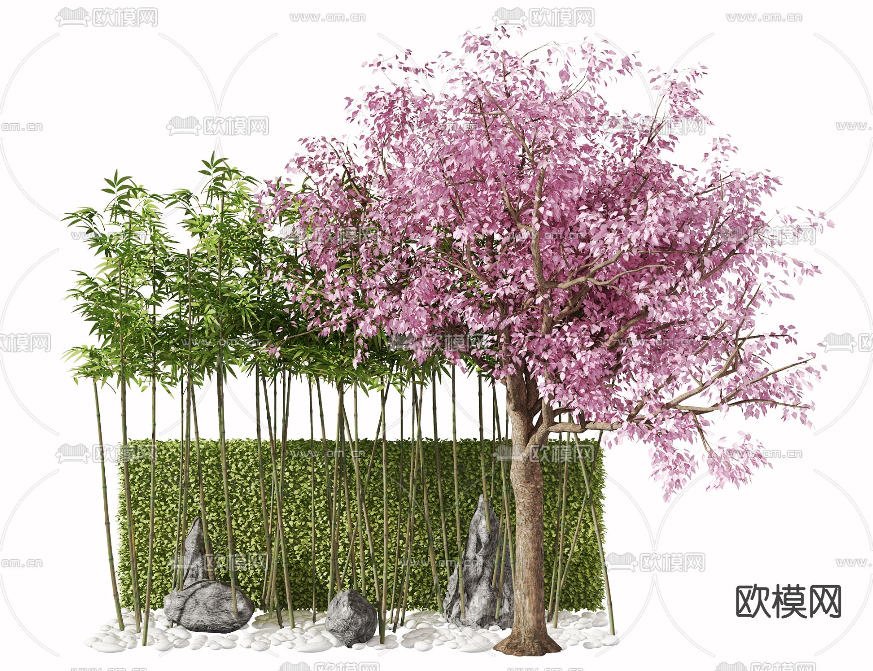 现代绿植竹子3d模型下载