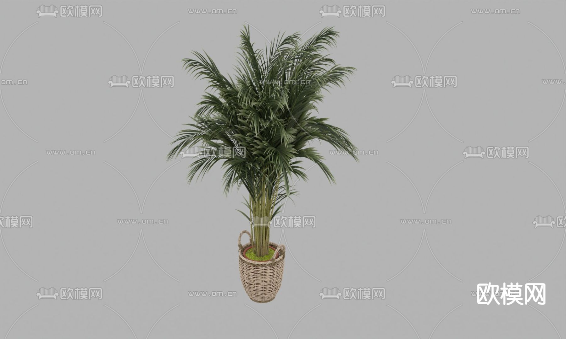 北欧简约绿植盆栽免费3d模型下载