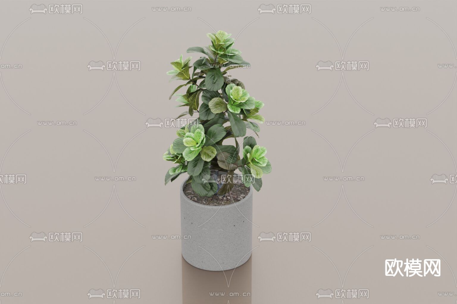 北欧简约绿植盆栽免费3d模型下载