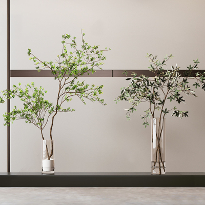  现代水生绿植花瓶su模型 