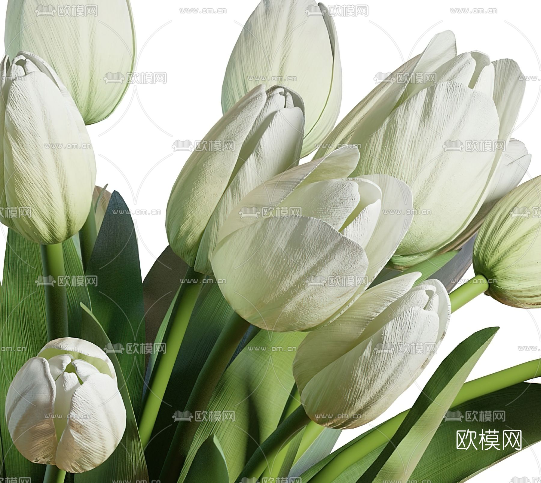 现代水生植物花瓶花艺3d模型下载（渲染图3）