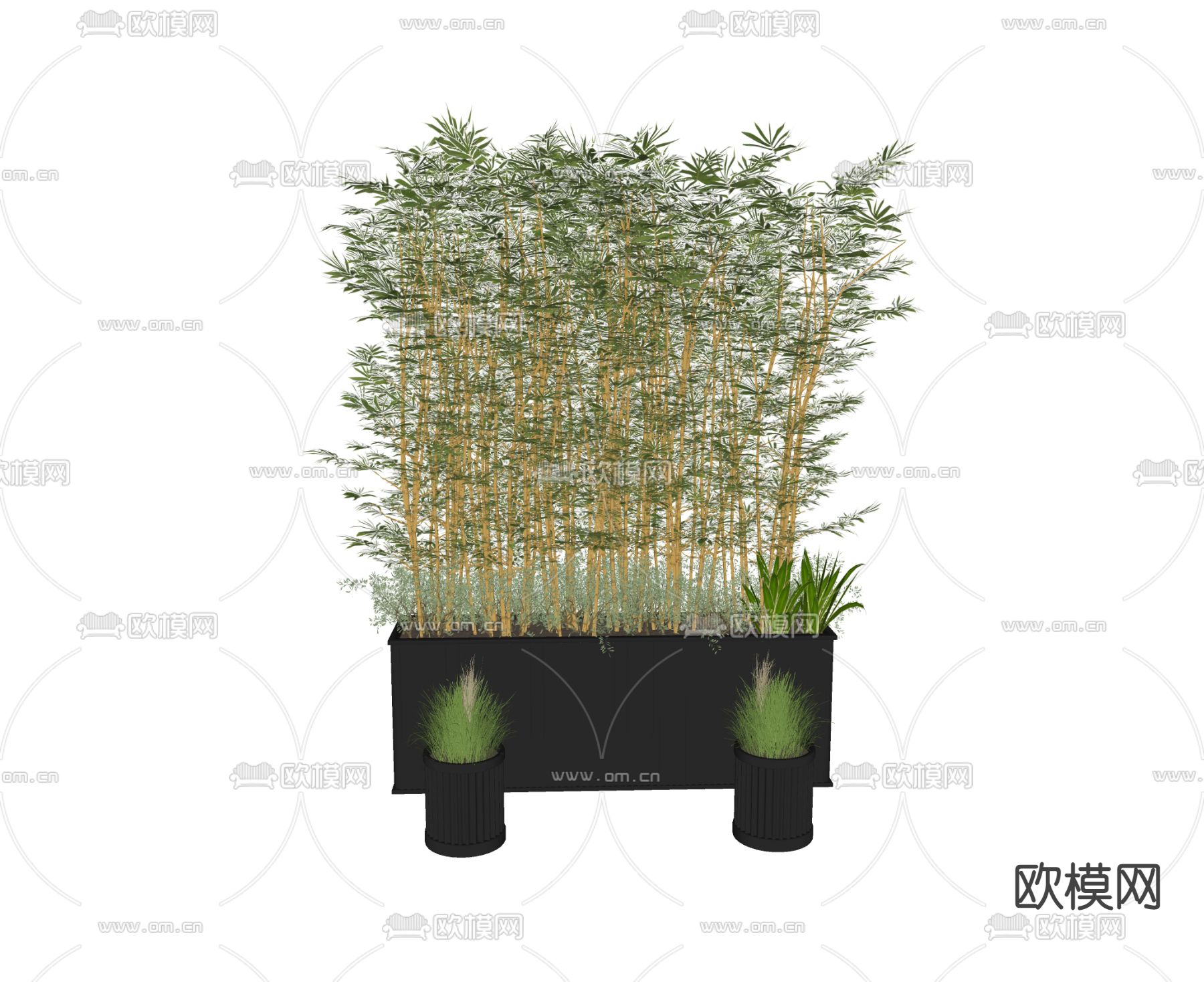 现代竹绿植盆栽su模型下载（渲染图2）