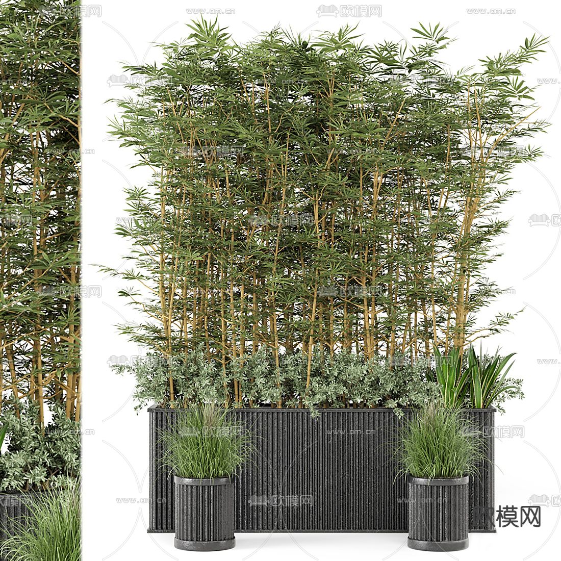现代竹绿植盆栽su模型下载（渲染图1）