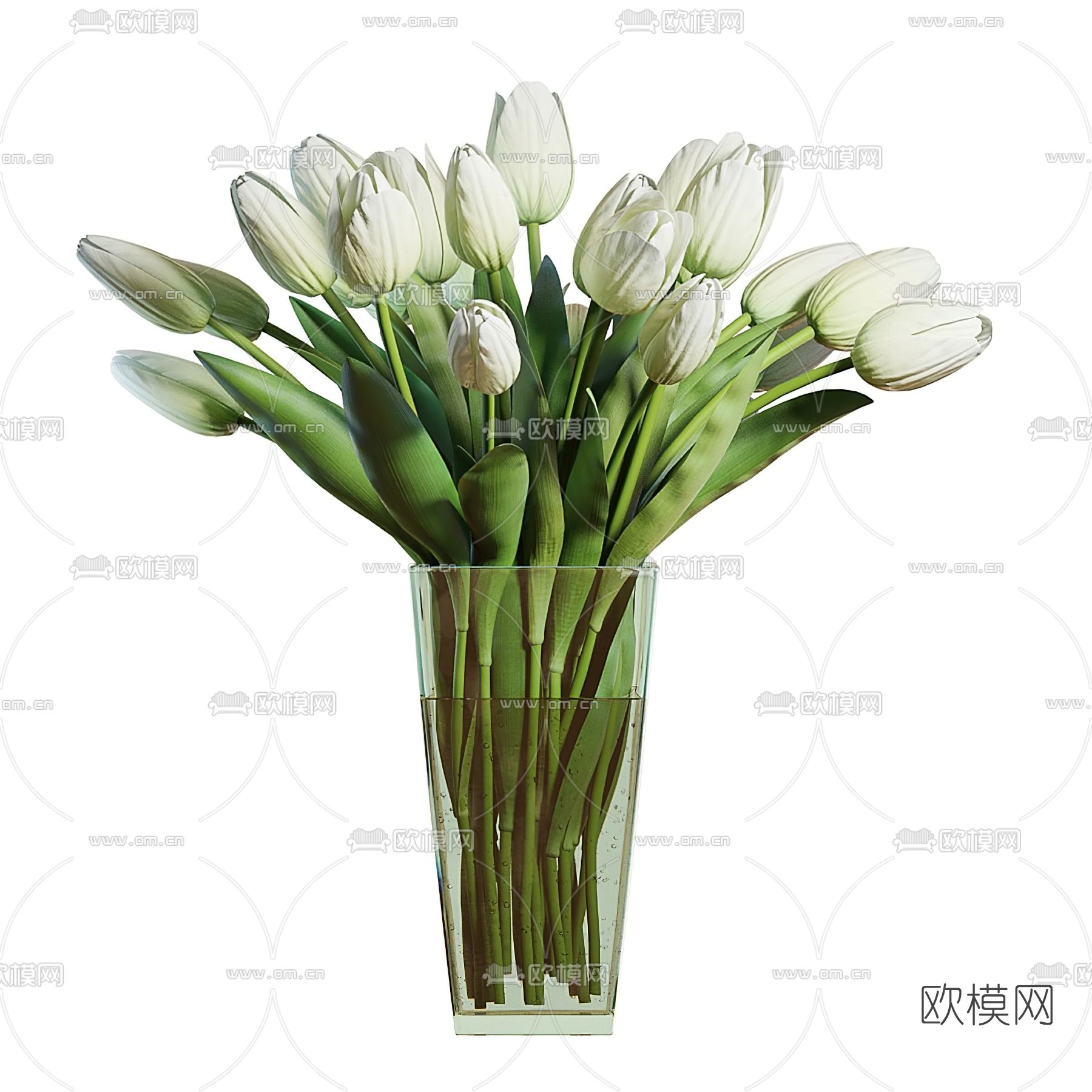 现代水生植物花瓶花艺3d模型下载（渲染图1）