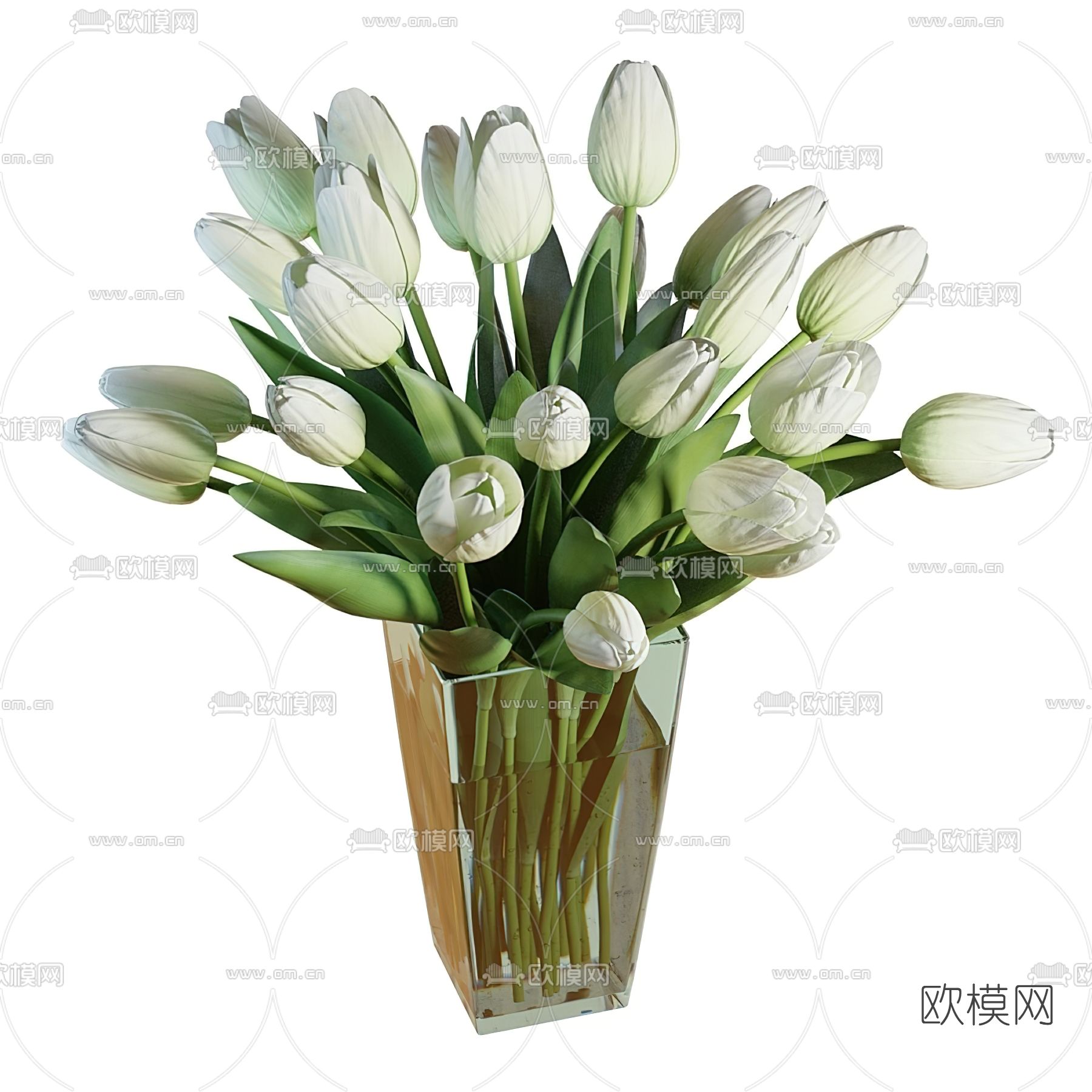 现代水生植物花瓶花艺3d模型下载（渲染图2）