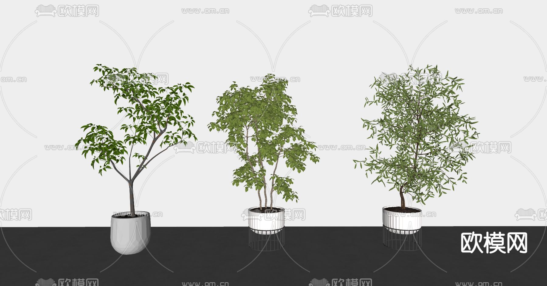 现代马醉木绿植盆栽su模型下载（渲染图2）