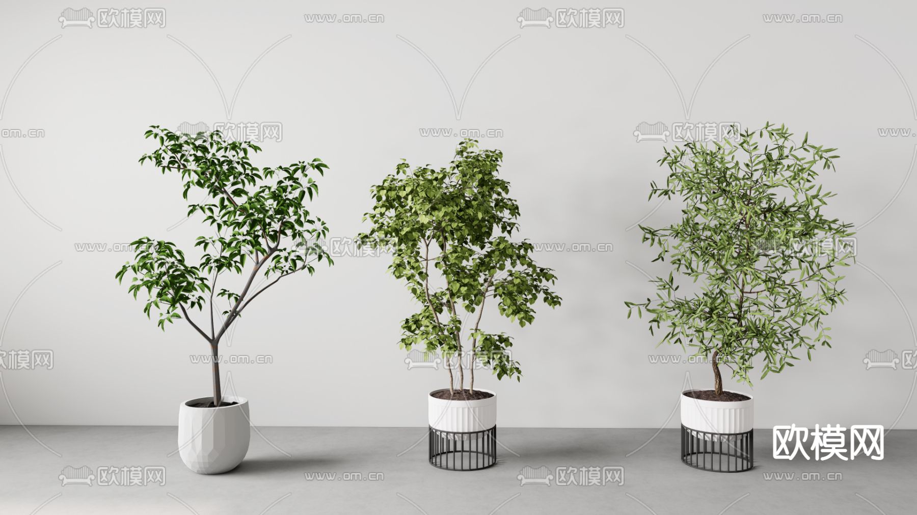 现代马醉木绿植盆栽su模型下载（渲染图1）