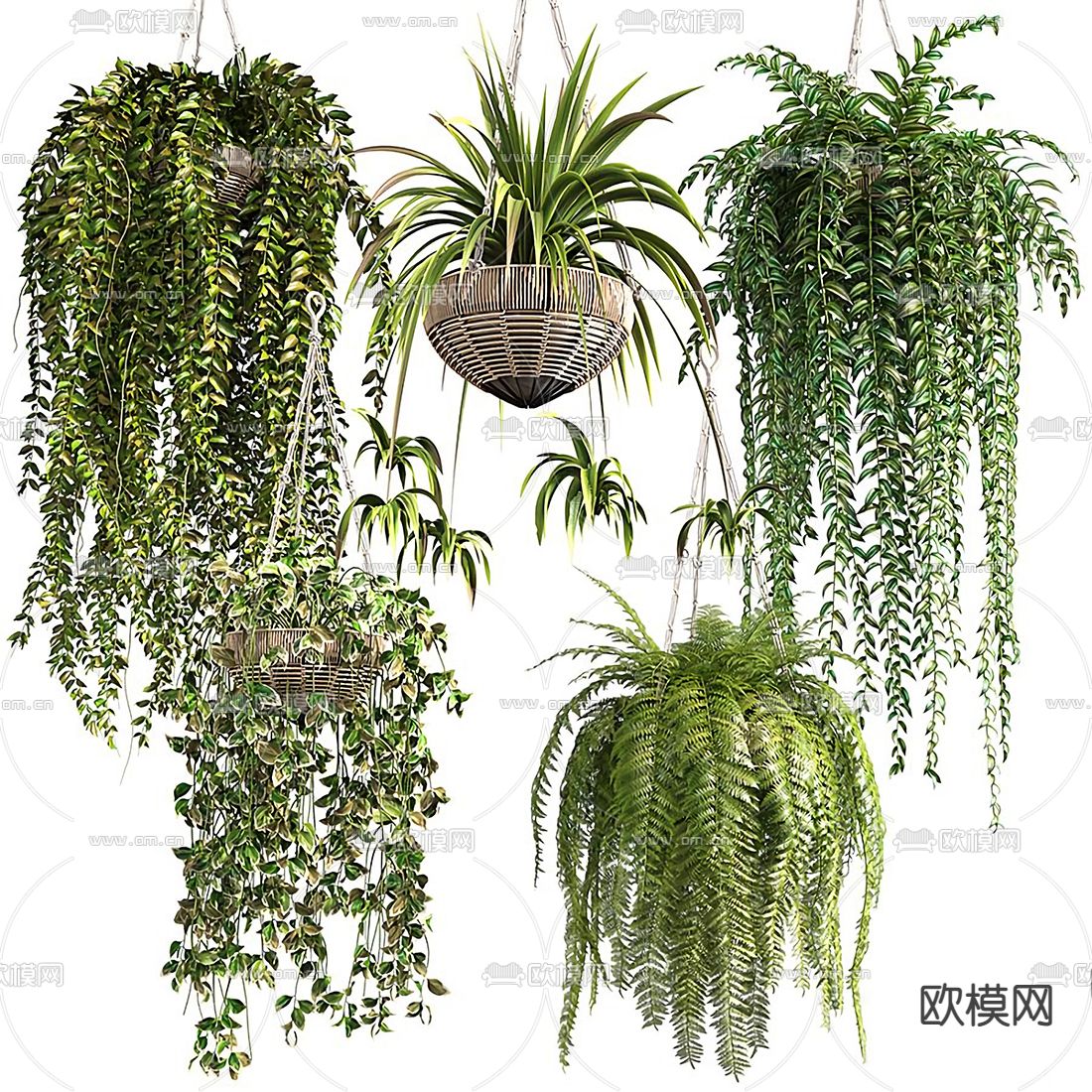 现代吊篮绿植盆栽悬挂植物su模型下载（渲染图1）